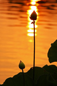 一名英冠前锋可能将加盟西乙球队