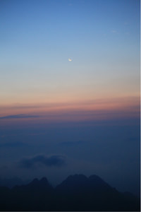 阿尔格转投英超，法甲球迷猝不及防