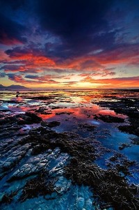 凯尔特人全队表现神勇，备战下一场