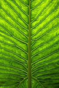 比赛压力巨大，精彩对决令人期待